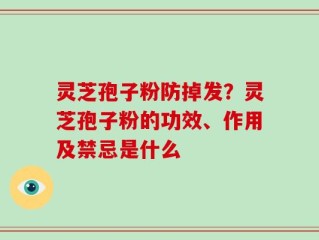 灵芝孢子粉防掉发？灵芝孢子粉的功效、作用及禁忌是什么