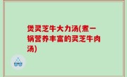 煲灵芝牛大力汤(煮一锅营养丰富的灵芝牛肉汤)