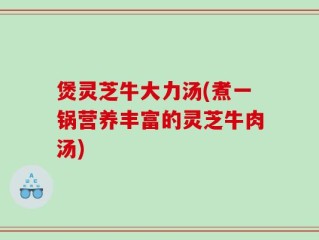 煲灵芝牛大力汤(煮一锅营养丰富的灵芝牛肉汤)