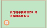 灵芝孢子我的世界？灵芝发酵最快方法
