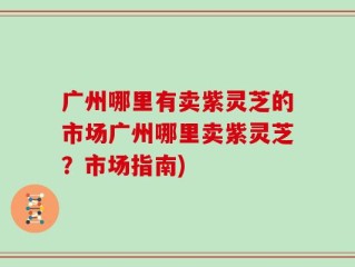 广州哪里有卖紫灵芝的市场广州哪里卖紫灵芝？市场指南)