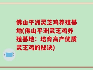 佛山平洲灵芝鸡养殖基地(佛山平洲灵芝鸡养殖基地：培育高产优质灵芝鸡的秘诀)