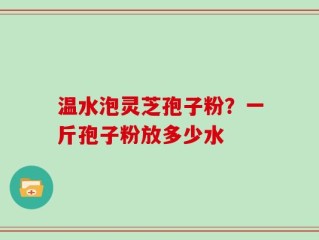 温水泡灵芝孢子粉？一斤孢子粉放多少水