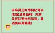 天麻灵芝红枣枸杞可以泡酒(酒友福利！天麻灵芝红枣枸杞驾到，美酒美味更健康)