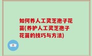 如何养人工灵芝孢子花苗(养护人工灵芝孢子花苗的技巧与方法)