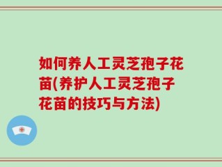 如何养人工灵芝孢子花苗(养护人工灵芝孢子花苗的技巧与方法)