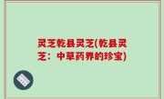灵芝乾县灵芝(乾县灵芝：中草药界的珍宝)