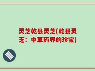 灵芝乾县灵芝(乾县灵芝：中草药界的珍宝)