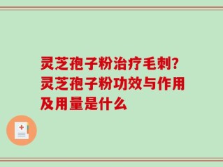 灵芝孢子粉治疗毛刺？灵芝孢子粉功效与作用及用量是什么