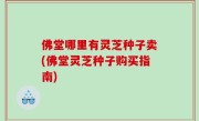 佛堂哪里有灵芝种子卖(佛堂灵芝种子购买指南)