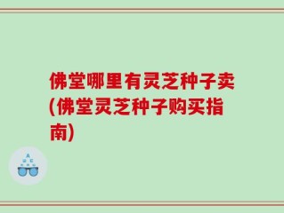 佛堂哪里有灵芝种子卖(佛堂灵芝种子购买指南)