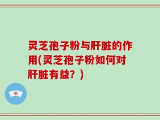 灵芝孢子粉与肝脏的作用(灵芝孢子粉如何对肝脏有益？)