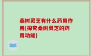 桑树灵芝有什么药用作用(探究桑树灵芝的药用功能)