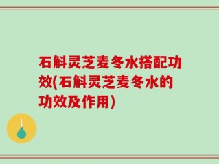 石斛灵芝麦冬水搭配功效(石斛灵芝麦冬水的功效及作用)
