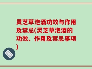 灵芝草泡酒功效与作用及禁忌(灵芝草泡酒的功效、作用及禁忌事项)