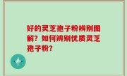 好的灵芝孢子粉辨别图解？如何辨别优质灵芝孢子粉？