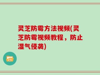 灵芝防霉方法视频(灵芝防霉视频教程，防止湿气侵袭)