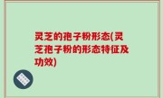 灵芝的孢子粉形态(灵芝孢子粉的形态特征及功效)