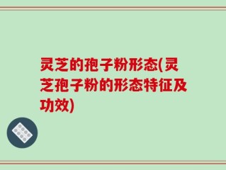 灵芝的孢子粉形态(灵芝孢子粉的形态特征及功效)