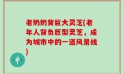 老奶奶背巨大灵芝(老年人背负巨型灵芝，成为城市中的一道风景线)