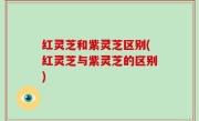 红灵芝和紫灵芝区别(红灵芝与紫灵芝的区别)