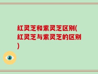 红灵芝和紫灵芝区别(红灵芝与紫灵芝的区别)