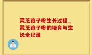 灵芝孢子粉生长过程_灵芝孢子粉的培育与生长全记录