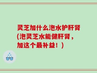 灵芝加什么泡水护肝肾(泡灵芝水能健肝肾，加这个最补益！)