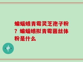 蝙蝠蛾青霉灵芝孢子粉？蝙蝠蛾拟青霉菌丝体粉是什么