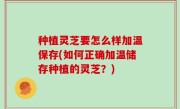 种植灵芝要怎么样加温保存(如何正确加温储存种植的灵芝？)