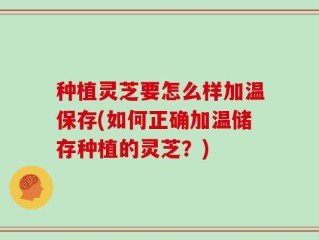 种植灵芝要怎么样加温保存(如何正确加温储存种植的灵芝？)