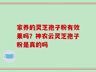 家养的灵芝孢子粉有效果吗？神农云灵芝孢子粉是真的吗