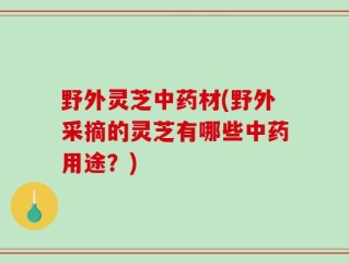 野外灵芝中药材(野外采摘的灵芝有哪些中药用途？)