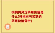 核桃树灵芝药用价值是什么(核桃树与灵芝的药用价值分析)