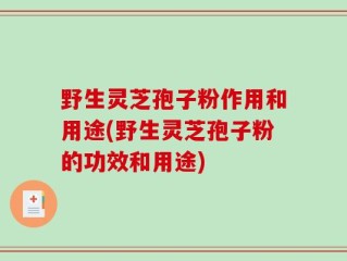 野生灵芝孢子粉作用和用途(野生灵芝孢子粉的功效和用途)