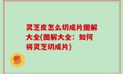 灵芝皮怎么切成片图解大全(图解大全：如何将灵芝切成片)