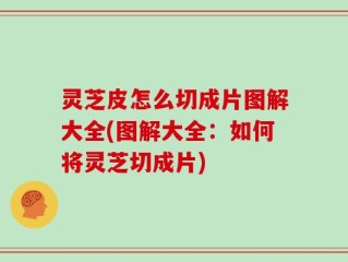 灵芝皮怎么切成片图解大全(图解大全：如何将灵芝切成片)