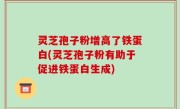 灵芝孢子粉增高了铁蛋白(灵芝孢子粉有助于促进铁蛋白生成)