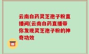 云南白药灵芝孢子粉直播间(云南白药直播带你发现灵芝孢子粉的神奇功效