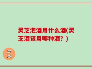 灵芝泡酒用什么酒(灵芝酒该用哪种酒？)
