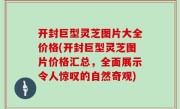 开封巨型灵芝图片大全价格(开封巨型灵芝图片价格汇总，全面展示令人惊叹的自然奇观)