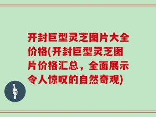 开封巨型灵芝图片大全价格(开封巨型灵芝图片价格汇总，全面展示令人惊叹的自然奇观)