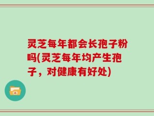 灵芝每年都会长孢子粉吗(灵芝每年均产生孢子，对健康有好处)