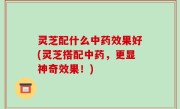 灵芝配什么中药效果好(灵芝搭配中药，更显神奇效果！)
