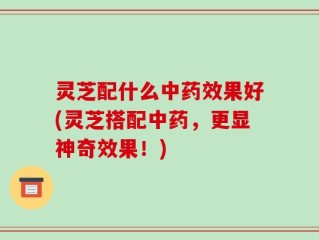灵芝配什么中药效果好(灵芝搭配中药，更显神奇效果！)