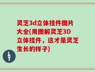 灵芝3d立体挂件图片大全(用图解灵芝3D立体挂件，这才是灵芝生长的样子)