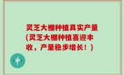 灵芝大棚种植真实产量(灵芝大棚种植喜迎丰收，产量稳步增长！)