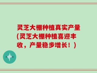 灵芝大棚种植真实产量(灵芝大棚种植喜迎丰收，产量稳步增长！)