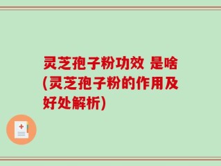 灵芝孢子粉功效 是啥(灵芝孢子粉的作用及好处解析)