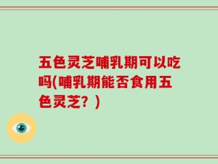 五色灵芝哺乳期可以吃吗(哺乳期能否食用五色灵芝？)